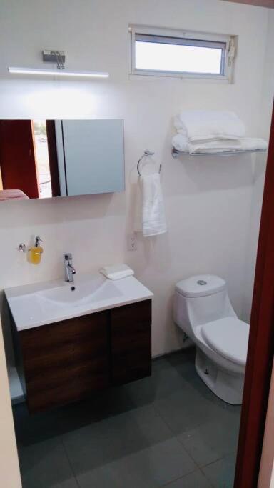 장크트 고아르스하우젠 Cabana El Alamo Con Jacuzzi 빌라 외부 사진